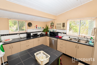 House For Sale - QLD - Isis Central - 4660 - A CHARACTER QUEENSLANDER ON 3 PRIVATE ACRES - THIS ONE IS SOMETHING SPECIAL!  (Image 2)