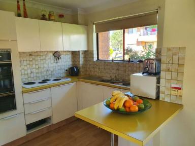 Unit For Lease - NSW - Muswellbrook - 2333 - BEAUTIFULLY APPORTED AND TIDY 3 B/R APARTMENT  (Image 2)