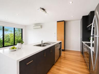 House For Lease - VIC - Skenes Creek - 3233 - SPLIT LEVEL FAMILY LIVING - VIEWS INCLUDED! (Image 2)