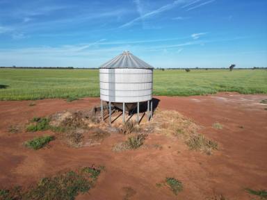 Cropping For Sale - NSW - Caragabal - 2810 - Top Little Block Ready To Grow Wheat In 2027  (Image 2)