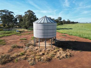 Cropping For Sale - NSW - Caragabal - 2810 - Top Little Block Ready To Grow Wheat In 2027  (Image 2)