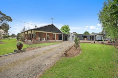 House For Sale - VIC - Longwarry North - 3816 - Lifestyle Acreage - Approx. 3 Acres (Image 2)
