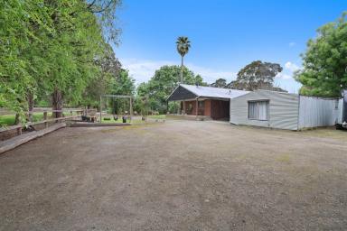House For Sale - VIC - Longwarry North - 3816 - Lifestyle Acreage - Approx. 3 Acres (Image 2)