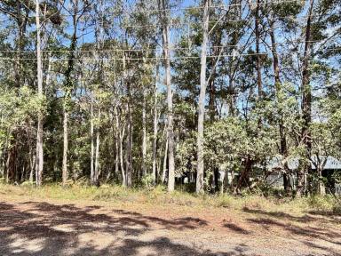 Residential Block For Sale - QLD - Russell Island - 4184 - Island Living Starts Here - Bush to Beach!  (Image 2)