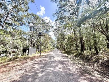Residential Block For Sale - QLD - Russell Island - 4184 - Island Living Starts Here - Bush to Beach!  (Image 2)