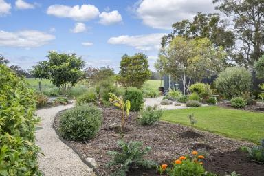 House For Sale - WA - Cowaramup - 6284 - LIGHT, BRIGHT & BEAUTIFULLY PRESENTED  (Image 2)