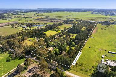 Acreage/Semi-rural For Sale - VIC - Moorooduc - 3933 - A Private Moorooduc Sanctuary Surrounded by Nature (Image 2)