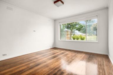 House For Lease - VIC - Mentone - 3194 - THREE BEDROOM HOME | EXPANSIVE BLOCK | CONVENIENT LOCATION (Image 2)