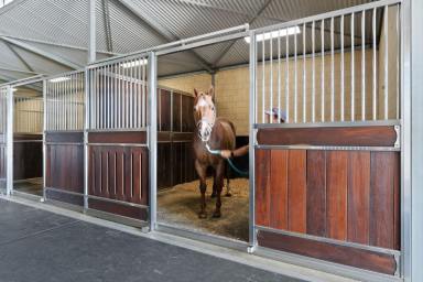 Acreage/Semi-rural For Sale - WA - Herne Hill - 6056 - Space to Breathe, Room to Ride  (Image 2)