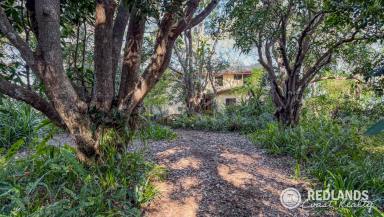 House For Sale - QLD - Lamb Island - 4184 - RARE 11.6 ACRE WATERFRONT LANDHOLDING – SPACE, PRIVACY & POSSIBILITY (Image 2)