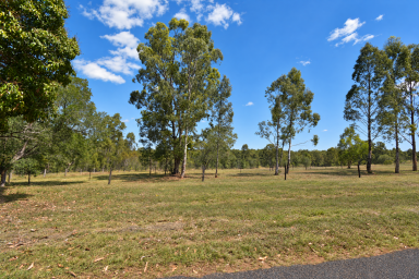 Residential Block For Sale - QLD - Apple Tree Creek - 4660 - Peaceful Mountain Views  (Image 2)