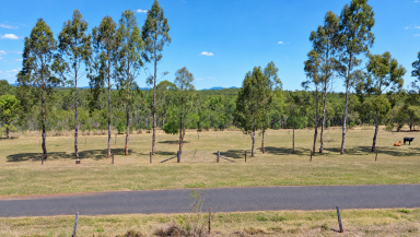 Residential Block For Sale - QLD - Apple Tree Creek - 4660 - Peaceful Mountain Views  (Image 2)