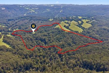 Lifestyle For Sale - VIC - Johanna - 3238 - Where the River Meets the Forest  (Image 2)