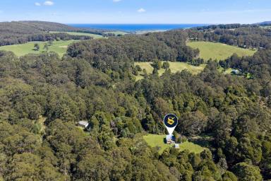 Lifestyle For Sale - VIC - Johanna - 3238 - Where the River Meets the Forest  (Image 2)