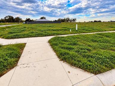 Residential Block For Sale - VIC - Swan Hill - 3585 - Corner Block with Parkland Lifestyle, 641m² Ready to Build  (Image 2)