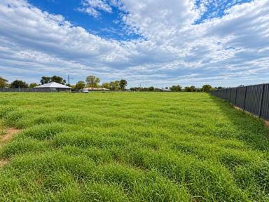 Residential Block For Sale - VIC - Swan Hill - 3585 - Build with the Park at Your Back Door, 814m² in Southview Estate  (Image 2)