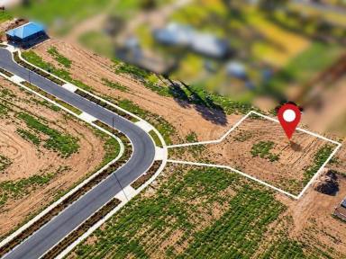 Residential Block For Sale - VIC - Swan Hill - 3585 - Space to Build Something Special, Generous 1,064m² Allotment Next to Ken Harrison Reserve  (Image 2)