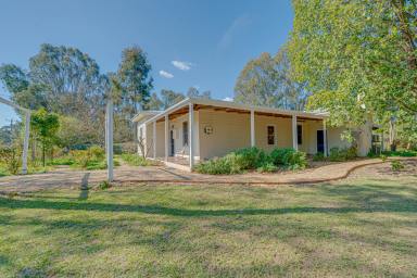 Lifestyle For Sale - VIC - Gapsted - 3737 - Charming Period Home on 6 Acre Slice of Heaven  (Image 2)