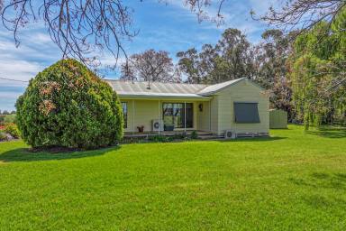 Cropping For Sale - VIC - Echuca - 3564 - PEACEFUL RURAL HOLDING ON 113 ACRES (Image 2)