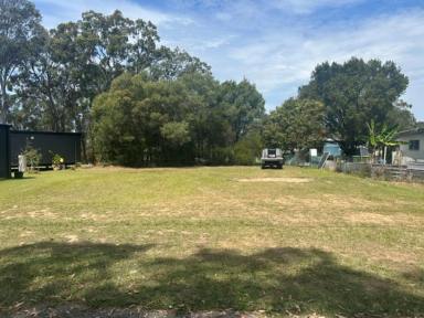 Residential Block For Sale - QLD - Macleay Island - 4184 - 807m² Flat Block in Peaceful No-Through Road  (Image 2)