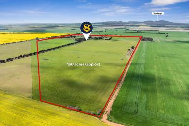 Mixed Farming For Sale - VIC - Anakie - 3213 - BOUNDARY PARK  (Image 2)