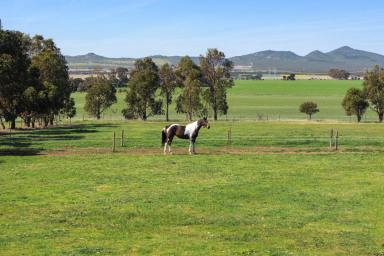Mixed Farming For Sale - VIC - Anakie - 3213 - BOUNDARY PARK  (Image 2)