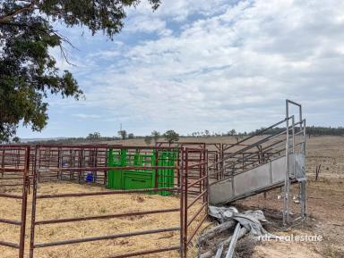 Mixed Farming For Sale - NSW - Bonshaw - 2361 - MODERN RURAL RETREAT ON 203HA (Image 2)