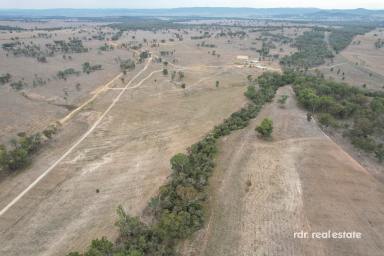 Mixed Farming For Sale - NSW - Bonshaw - 2361 - MODERN RURAL RETREAT ON 203HA (Image 2)