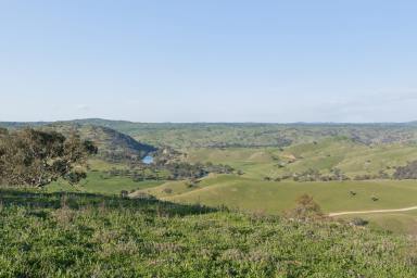 Residential Block Auction - NSW - Yass - 2582 - Affordable Murrumbidgee Country  (Image 2)