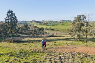 Residential Block Auction - NSW - Yass - 2582 - Affordable Murrumbidgee Country  (Image 2)