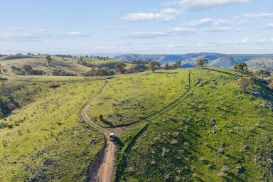 Residential Block Auction - NSW - Yass - 2582 - "Traquair", 426 Cavan Road CAVAN NSW  (Image 2)