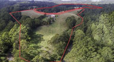 Lifestyle For Sale - VIC - Tanybryn - 3249 - The Complete Otway Lifestyle Package  (Image 2)