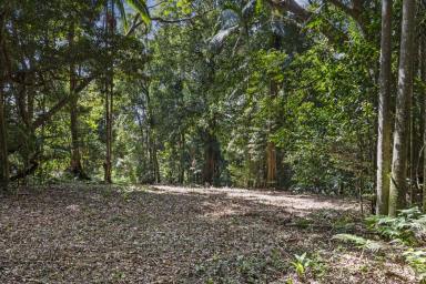 Residential Block For Sale - QLD - Mount Glorious - 4520 - A Private Mount Glorious Setting - 1,485m2 (approx.) of Natural Beauty!  (Image 2)