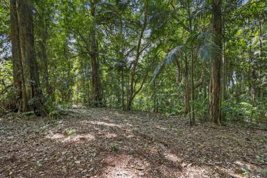 Residential Block For Sale - QLD - Mount Glorious - 4520 - A Private Mount Glorious Setting - 1,485m2 (approx.) of Natural Beauty!  (Image 2)