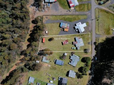 House For Sale - TAS - Bradys Lake - 7140 - Highland Lakes Escape with Endless Potential  (Image 2)