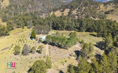 House For Sale - NSW - Kanimbla - 2790 - Riverfront Escape in the Heart of the Kanimbla Valley  (Image 2)