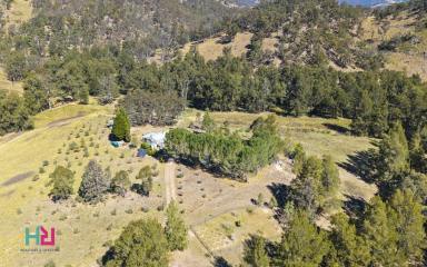 House For Sale - NSW - Kanimbla - 2790 - Riverfront Escape in the Heart of the Kanimbla Valley  (Image 2)