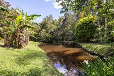 House For Sale - QLD - Eerwah Vale - 4562 - Country Charm with Mount Eerwah View  (Image 2)