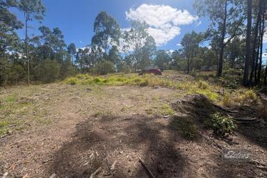 Residential Block For Sale - QLD - Glenwood - 4570 - PLENTY OF SPACE TO MAKE IT YOURS  (Image 2)
