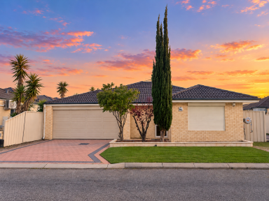 House For Sale - WA - Westminster - 6061 - MASSIVE 262 m² Street-Front Living with Space, Style & Convenience  (Image 2)