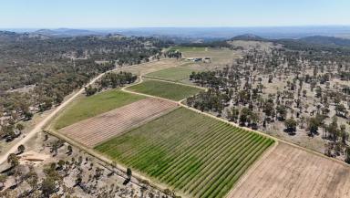 Horticulture For Sale - QLD - Pikedale - 4380 - DIVERSIFIED HORTICULTURAL OPERATION  (Image 2)