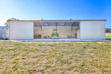 Lifestyle Auction - NSW - Tamworth - 2340 - UNIQUE 40 HECTARE LIFESTYLE LAND WITH BUILDING ENTITLEMENT  (Image 2)