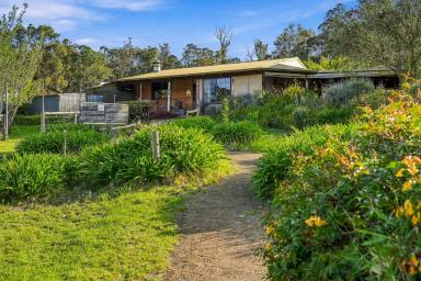 House For Sale - WA - Pemberton - 6260 - Private Lake, Business Potential & A Lifestyle Like No Other (Image 2)