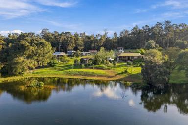 House For Sale - WA - Pemberton - 6260 - Private Lake, Business Potential & A Lifestyle Like No Other (Image 2)