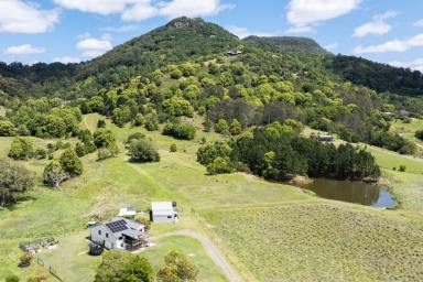 House For Sale - QLD - Eerwah Vale - 4562 - 66 Acres With Mountain Views on Eumundi's Doorstep  (Image 2)