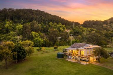 House For Sale - QLD - Eerwah Vale - 4562 - 66 Acres With Mountain Views on Eumundi's Doorstep  (Image 2)