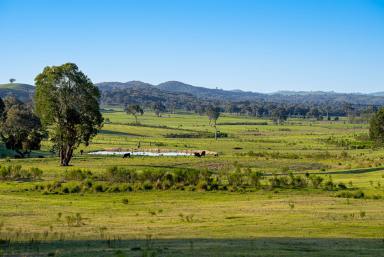Lifestyle Auction - NSW - Gunning - 2581 - Rare Find!  (Image 2)