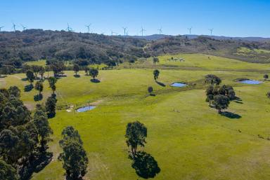 Lifestyle Auction - NSW - Gunning - 2581 - Rare Find!  (Image 2)