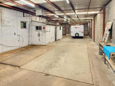 Industrial/Warehouse For Sale - NSW - Leeton - 2705 - COMMERCIAL SITE (Image 2)