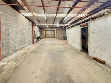 Industrial/Warehouse For Sale - NSW - Leeton - 2705 - COMMERCIAL SITE (Image 2)